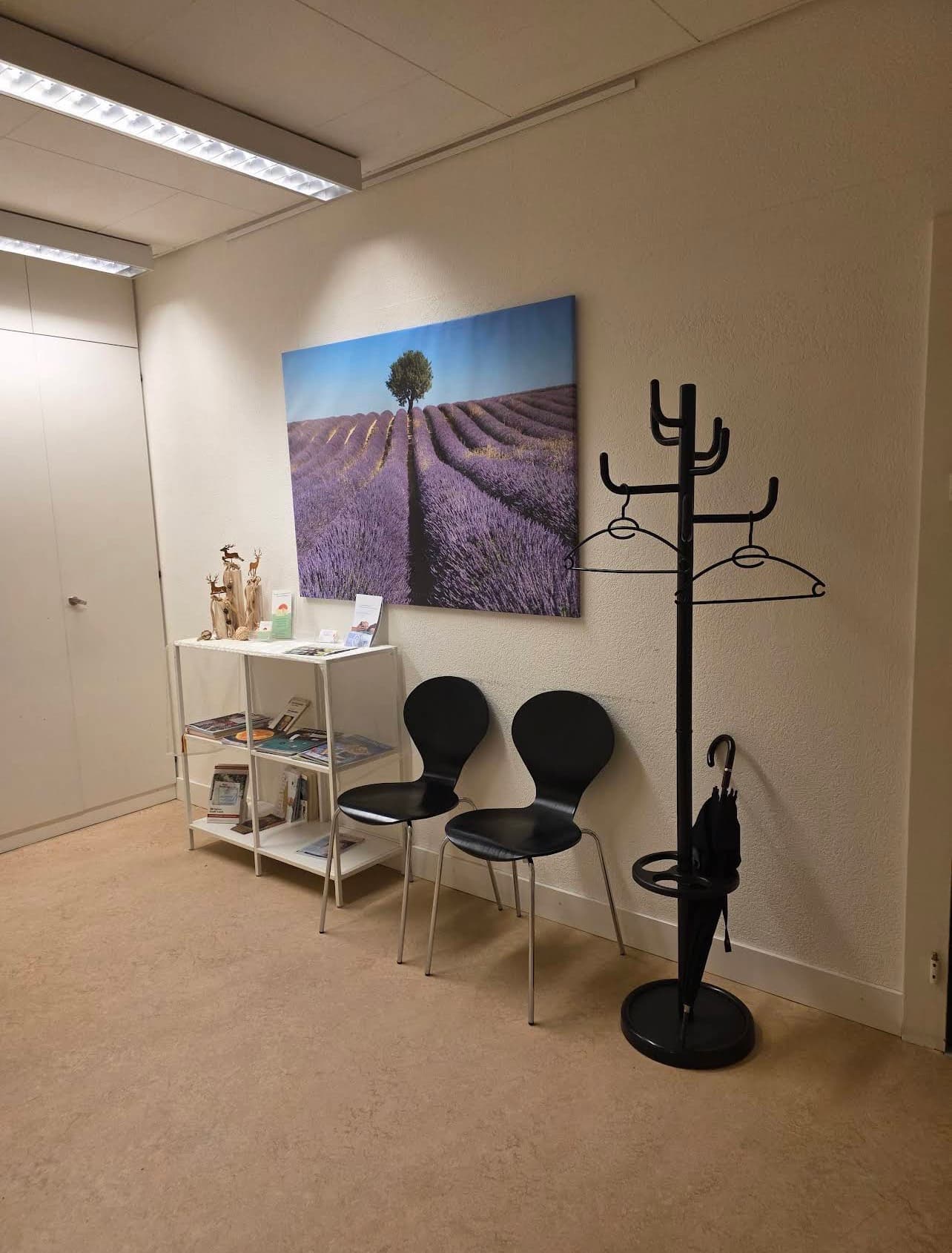 Craniosacraltherapie Praxis Winterthur – ruhiger Warteraum mit Sitzgelegenheiten