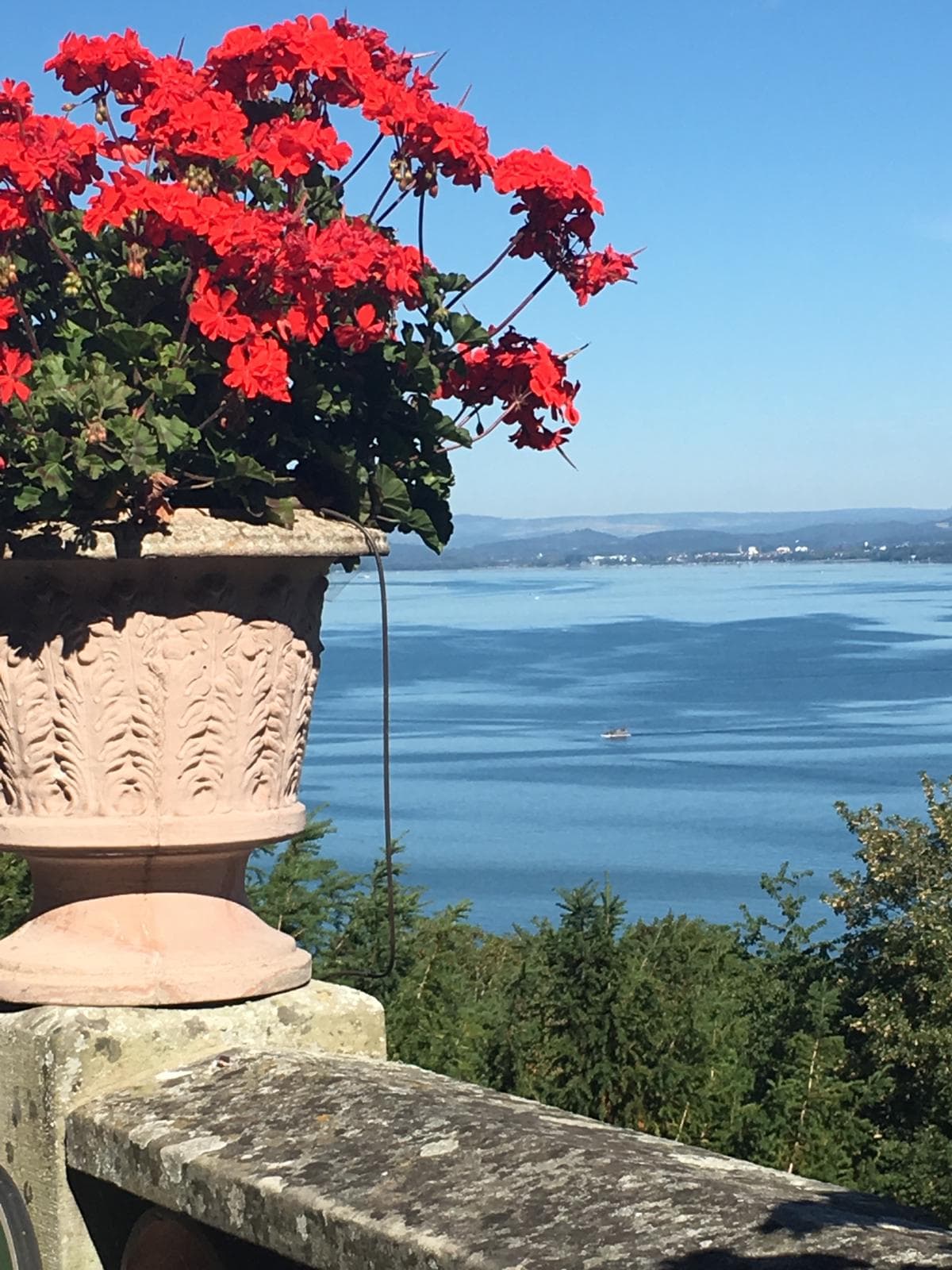 Rote Geranien in einer Steinvase mit Blick auf einen See – Sinnbild für Ruhe und Erholung im Alltag